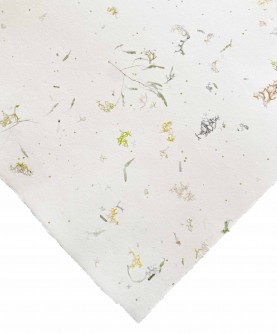 Cotton rag paper with lichen inclusions